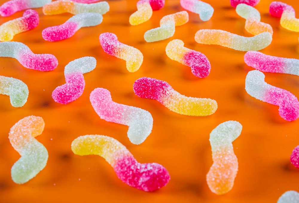 Freeze-Dried Worms