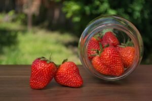 Freeze-Dried Strawberry