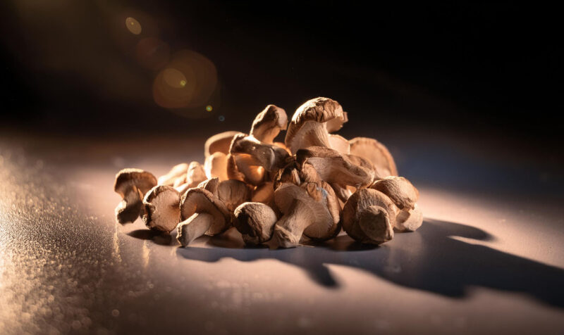 Freeze-Dried Mushrooms Freeze-Dried Mushrooms